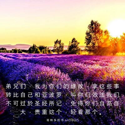 Picture 03 - 哥 林 多 前 书 4:6 CUVS - 弟 兄 们 ， 我 为 你 们 的 缘 故 ， - Bible Verse Picture