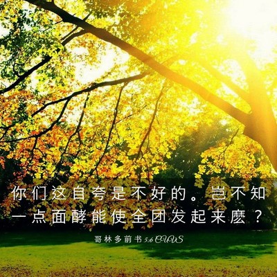 Picture 03 - 哥 林 多 前 书 5:6 CUVS - 你 们 这 自 夸 是 不 好 的 。 岂 不 - Bible Verse Picture