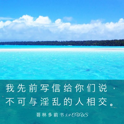 Picture 03 - 哥 林 多 前 书 5:9 CUVS - 我 先 前 写 信 给 你 们 说 ， 不 可 - Bible Verse Picture