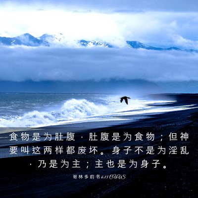 Picture 03 - 哥 林 多 前 书 6:13 CUVS - 食 物 是 为 肚 腹 ， 肚 腹 是 为 食 - Bible Verse Picture