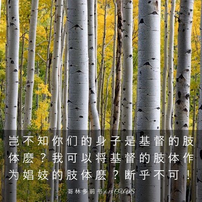 Picture 03 - 哥 林 多 前 书 6:15 CUVS - 岂 不 知 你 们 的 身 子 是 基 督 的 - Bible Verse Picture