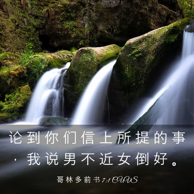 Picture 03 - 哥 林 多 前 书 7:1 CUVS - 论 到 你 们 信 上 所 提 的 事 ， 我 - Bible Verse Picture