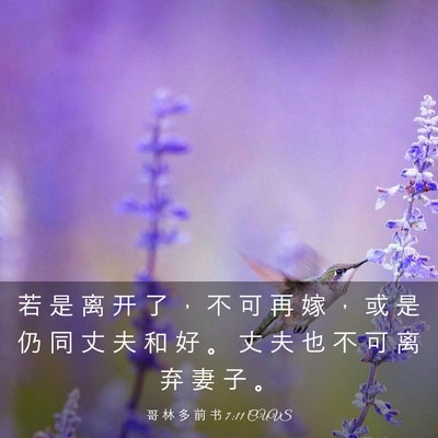 Picture 03 - 哥 林 多 前 书 7:11 CUVS - 若 是 离 开 了 ， 不 可 再 嫁 ， 或 - Bible Verse Picture