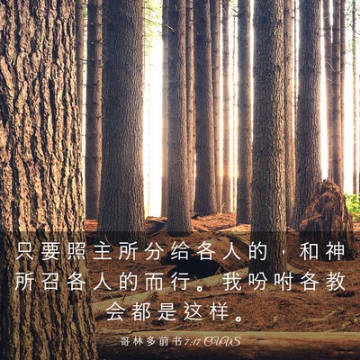 Picture 03 - 哥 林 多 前 书 7:17 CUVS - 只 要 照 主 所 分 给 各 人 的 ， 和 - Bible Verse Picture