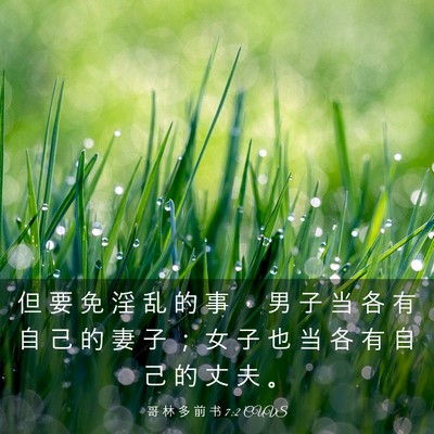 Picture 03 - 哥 林 多 前 书 7:2 CUVS - 但 要 免 淫 乱 的 事 ， 男 子 当 各 - Bible Verse Picture