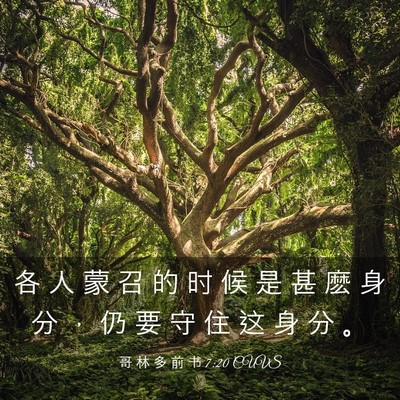 Picture 03 - 哥 林 多 前 书 7:20 CUVS - 各 人 蒙 召 的 时 候 是 甚 麽 身 分 - Bible Verse Picture