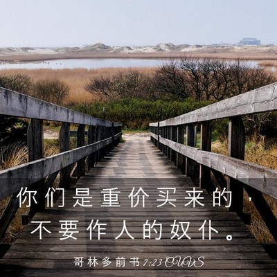 Picture 03 - 哥 林 多 前 书 7:23 CUVS - 你 们 是 重 价 买 来 的 ， 不 要 作 - Bible Verse Picture