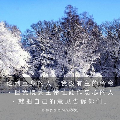 Picture 03 - 哥 林 多 前 书 7:25 CUVS - 论 到 童 身 的 人 ， 我 没 有 主 的 - Bible Verse Picture