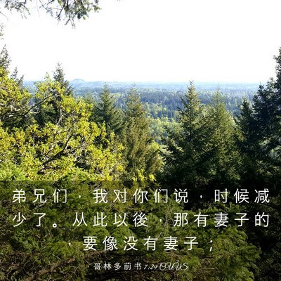 Picture 03 - 哥 林 多 前 书 7:29 CUVS - 弟 兄 们 ， 我 对 你 们 说 ， 时 候 - Bible Verse Picture