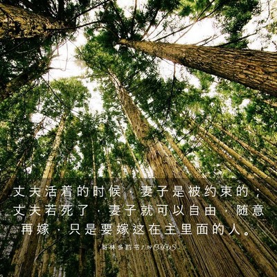 Picture 03 - 哥 林 多 前 书 7:39 CUVS - 丈 夫 活 着 的 时 候 ， 妻 子 是 被 - Bible Verse Picture