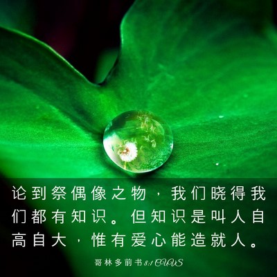Picture 03 - 哥 林 多 前 书 8:1 CUVS - 论 到 祭 偶 像 之 物 ， 我 们 晓 得 - Bible Verse Picture