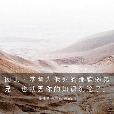 Picture 03 - 哥 林 多 前 书 8:11 CUVS - 因 此 ， 基 督 为 他 死 的 那 软 弱 - Bible Verse Picture