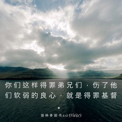Picture 03 - 哥 林 多 前 书 8:12 CUVS - 你 们 这 样 得 罪 弟 兄 们 ， 伤 了 - Bible Verse Picture