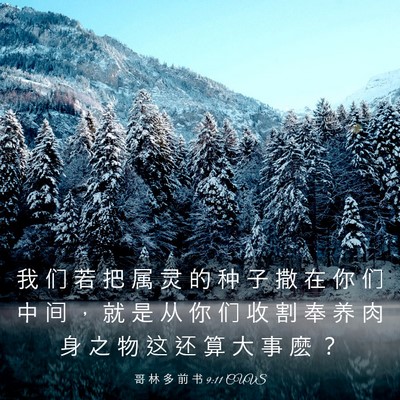 Picture 03 - 哥 林 多 前 书 9:11 CUVS - 我 们 若 把 属 灵 的 种 子 撒 在 你 - Bible Verse Picture