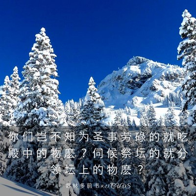 Picture 03 - 哥 林 多 前 书 9:13 CUVS - 你 们 岂 不 知 为 圣 事 劳 碌 的 就 - Bible Verse Picture