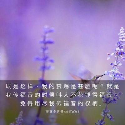 Picture 03 - 哥 林 多 前 书 9:18 CUVS - 既 是 这 样 ， 我 的 赏 赐 是 甚 麽 - Bible Verse Picture