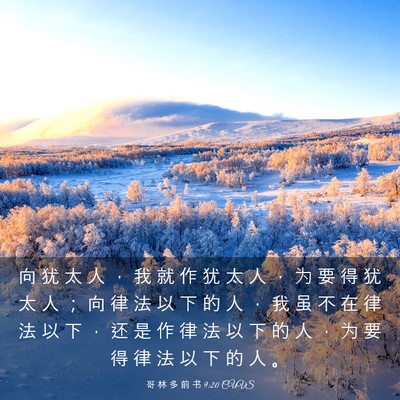 Picture 03 - 哥 林 多 前 书 9:20 CUVS - 向 犹 太 人 ， 我 就 作 犹 太 人 ， - Bible Verse Picture