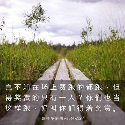 Picture 03 - 哥 林 多 前 书 9:24 CUVS - 岂 不 知 在 场 上 赛 跑 的 都 跑 ， - Bible Verse Picture