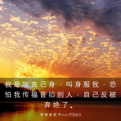 Picture 03 - 哥 林 多 前 书 9:27 CUVS - 我 是 攻 克 己 身 ， 叫 身 服 我 ， - Bible Verse Picture