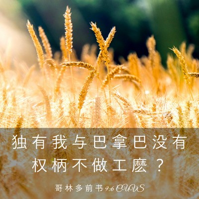 Picture 03 - 哥 林 多 前 书 9:6 CUVS - 独 有 我 与 巴 拿 巴 没 有 权 柄 不 - Bible Verse Picture