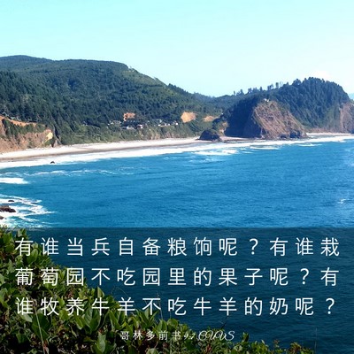 Picture 03 - 哥 林 多 前 书 9:7 CUVS - 有 谁 当 兵 自 备 粮 饷 呢 ？ 有 谁 - Bible Verse Picture