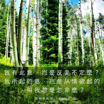 Picture 03 - 哥 林 多 后 书 1:17 CUVS - 我 有 此 意 ， 岂 是 反 复 不 定 麽 - Bible Verse Picture