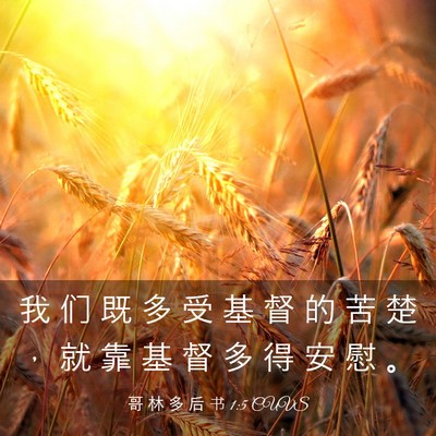 Picture 03 - 哥 林 多 后 书 1:5 CUVS - 我 们 既 多 受 基 督 的 苦 楚 ， 就 - Bible Verse Picture