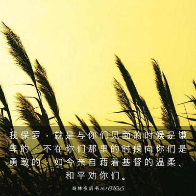Picture 03 - 哥 林 多 后 书 10:1 CUVS - 我 保 罗 ， 就 是 与 你 们 见 面 的 - Bible Verse Picture