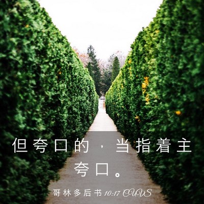 Picture 03 - 哥 林 多 后 书 10:17 CUVS - 但 夸 口 的 ， 当 指 着 主 夸 口 - Bible Verse Picture