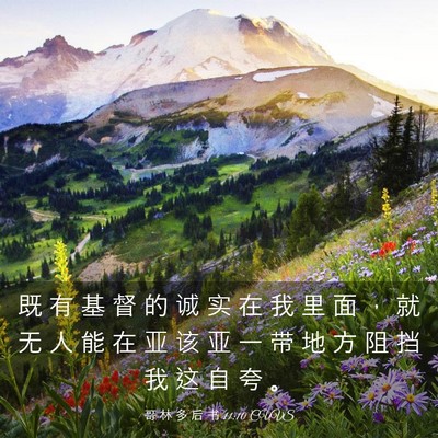 Picture 03 - 哥 林 多 后 书 11:10 CUVS - 既 有 基 督 的 诚 实 在 我 里 面 ， - Bible Verse Picture
