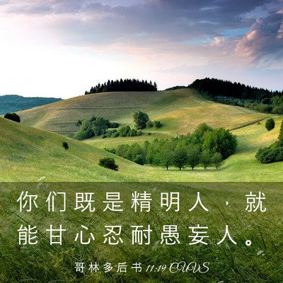Picture 03 - 哥 林 多 后 书 11:19 CUVS - 你 们 既 是 精 明 人 ， 就 能 甘 心 - Bible Verse Picture