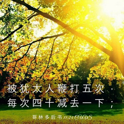Picture 03 - 哥 林 多 后 书 11:24 CUVS - 被 犹 太 人 鞭 打 五 次 ， 每 次 四 - Bible Verse Picture