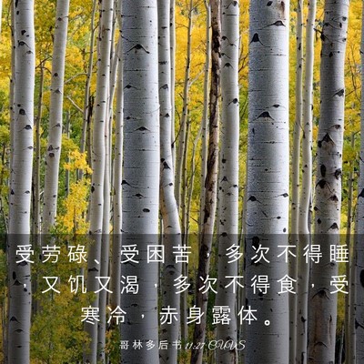 Picture 03 - 哥 林 多 后 书 11:27 CUVS - 受 劳 碌 、 受 困 苦 ， 多 次 不 得 - Bible Verse Picture