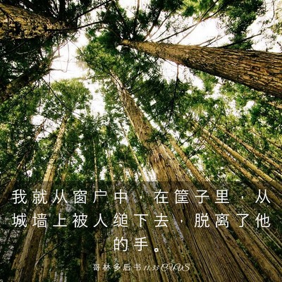 Picture 03 - 哥 林 多 后 书 11:33 CUVS - 我 就 从 窗 户 中 ， 在 筐 子 里 ， - Bible Verse Picture