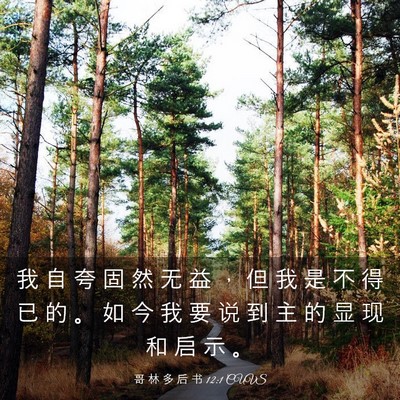 Picture 03 - 哥 林 多 后 书 12:1 CUVS - 我 自 夸 固 然 无 益 ， 但 我 是 不 - Bible Verse Picture
