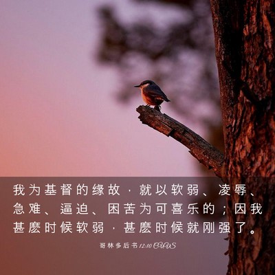 Picture 03 - 哥 林 多 后 书 12:10 CUVS - 我 为 基 督 的 缘 故 ， 就 以 软 弱 - Bible Verse Picture