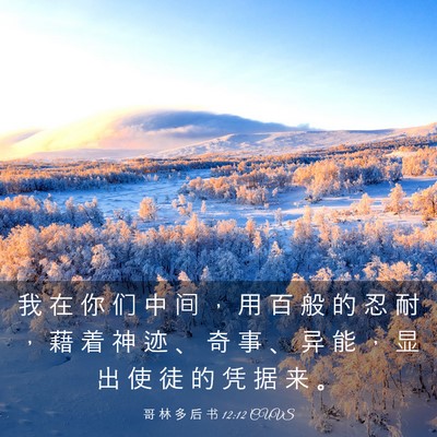 Picture 03 - 哥 林 多 后 书 12:12 CUVS - 我 在 你 们 中 间 ， 用 百 般 的 忍 - Bible Verse Picture