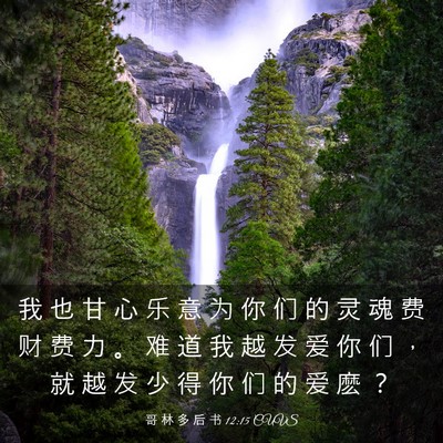 Picture 03 - 哥 林 多 后 书 12:15 CUVS - 我 也 甘 心 乐 意 为 你 们 的 灵 魂 - Bible Verse Picture