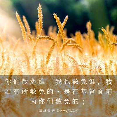 Picture 03 - 哥 林 多 后 书 2:10 CUVS - 你 们 赦 免 谁 ， 我 也 赦 免 谁 。 - Bible Verse Picture