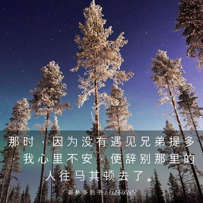 Picture 03 - 哥 林 多 后 书 2:13 CUVS - 那 时 ， 因 为 没 有 遇 见 兄 弟 提 - Bible Verse Picture