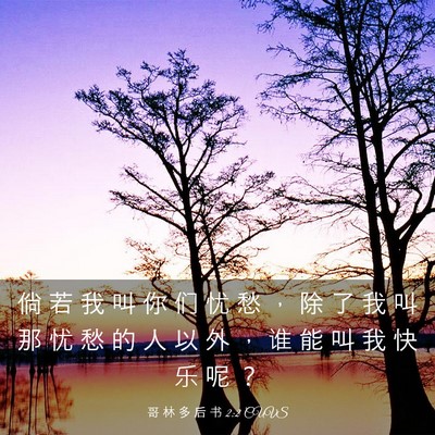 Picture 03 - 哥 林 多 后 书 2:2 CUVS - 倘 若 我 叫 你 们 忧 愁 ， 除 了 我 - Bible Verse Picture