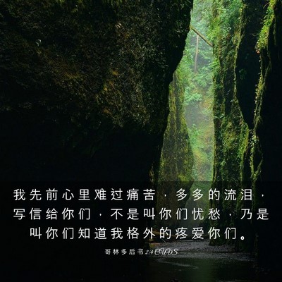 Picture 03 - 哥 林 多 后 书 2:4 CUVS - 我 先 前 心 里 难 过 痛 苦 ， 多 多 - Bible Verse Picture