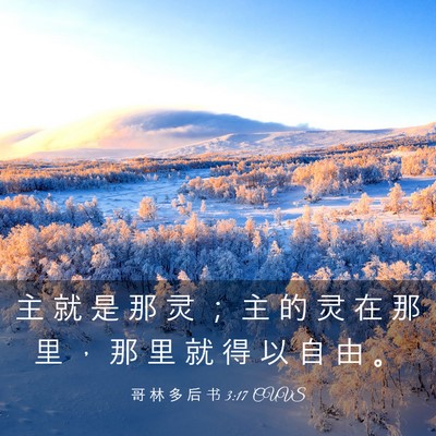 Picture 03 - 哥 林 多 后 书 3:17 CUVS - 主 就 是 那 灵 ； 主 的 灵 在 那 里 - Bible Verse Picture