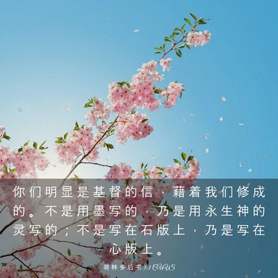 Picture 03 - 哥 林 多 后 书 3:3 CUVS - 你 们 明 显 是 基 督 的 信 ， 藉 着 - Bible Verse Picture