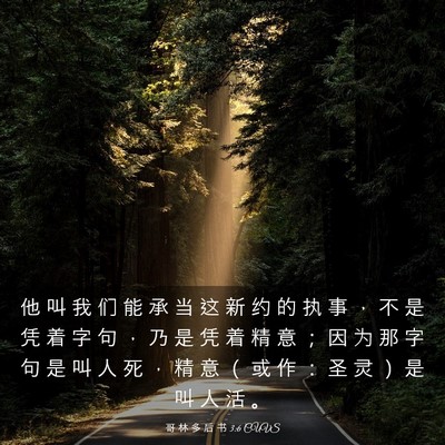 Picture 03 - 哥 林 多 后 书 3:6 CUVS - 他 叫 我 们 能 承 当 这 新 约 的 执 - Bible Verse Picture