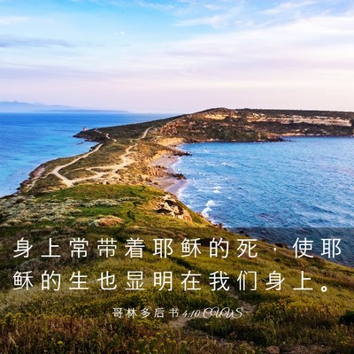 Picture 03 - 哥 林 多 后 书 4:10 CUVS - 身 上 常 带 着 耶 稣 的 死 ， 使 耶 - Bible Verse Picture