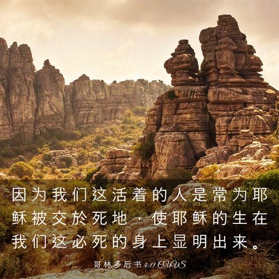 Picture 03 - 哥 林 多 后 书 4:11 CUVS - 因 为 我 们 这 活 着 的 人 是 常 为 - Bible Verse Picture