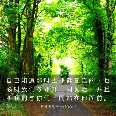 Picture 03 - 哥 林 多 后 书 4:14 CUVS - 自 己 知 道 那 叫 主 耶 稣 复 活 的 - Bible Verse Picture