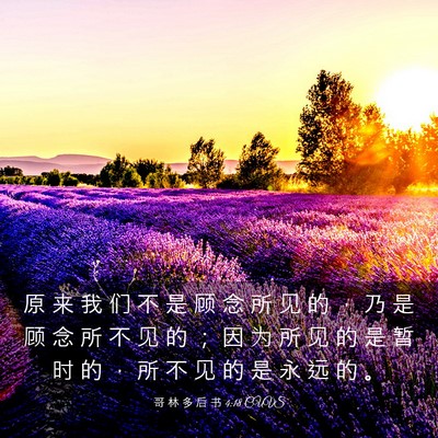 Picture 03 - 哥 林 多 后 书 4:18 CUVS - 原 来 我 们 不 是 顾 念 所 见 的 ， - Bible Verse Picture