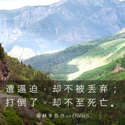 Picture 03 - 哥 林 多 后 书 4:9 CUVS - 遭 逼 迫 ， 却 不 被 丢 弃 ； 打 倒 - Bible Verse Picture